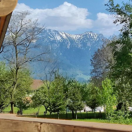 Ara Chalet Törcsvár Kültér fotó
