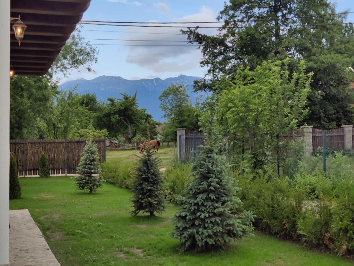 Ara Chalet Törcsvár Kültér fotó